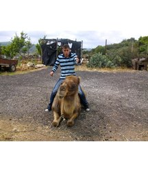 boys dogs & other animals 5ae96b70b28a7.jpg