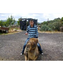 boys dogs & other animals 5ae96b72bd0d8.jpg
