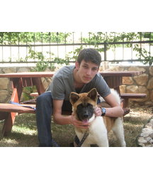 boys dogs & other animals 5ae96b74805f0.jpg