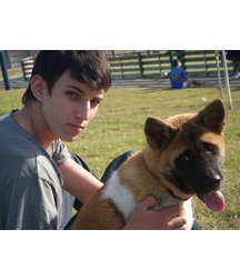 boys dogs & other animals 5ae96b761084d.jpg