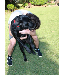 boys dogs & other animals 5ae96b7d6c232.jpg