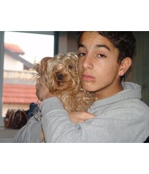 boys dogs & other animals 5ae96b831381c.jpg