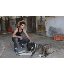 boys dogs & other animals 5ae96b86dc15c.jpg