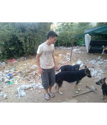 boys dogs & other animals 5ae96b9034231.jpg
