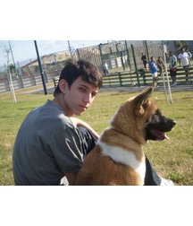 boys dogs & other animals 5ae96b92e8e5a.jpg