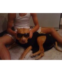 boys dogs & other animals 5ae96b93cea1a.jpg