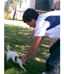 boys dogs & other animals 5ae96b965bf38.jpg