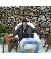 boys dogs & other animals 5ae96b9964d90.jpg