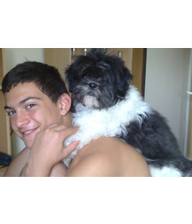 boys dogs & other animals 5ae96b9cb0714.jpg