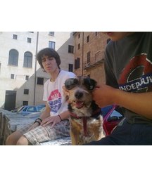 boys dogs & other animals 5ae96b9fb5849.jpg