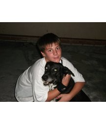 boys dogs & other animals 5ae96ba45d644.jpg