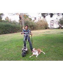 boys dogs & other animals 5ae96ba7e1b15.jpg