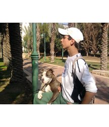 boys dogs & other animals 5ae96bb155027.jpg