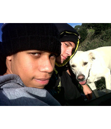 boys dogs & other animals 5ae96bb343e28.jpg
