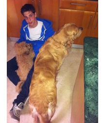 boys dogs & other animals 5ae96bb51dddf.jpg