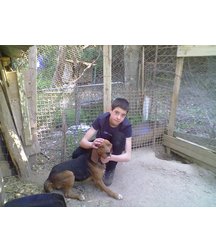 boys dogs & other animals 5ae96bb6e8216.jpg