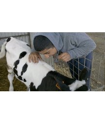 boys dogs & other animals 5ae96bb9886f9.jpg