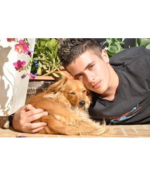 boys dogs & other animals 5ae96bbb202e4.jpg