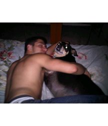 boys dogs & other animals 5ae96bbc2d12e.jpg