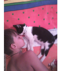 boys dogs & other animals 5ae96bbd71c73.jpg