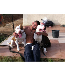boys dogs & other animals 5ae96bc0abcf3.jpg