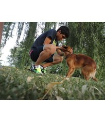 boys dogs & other animals 5ae96bc88f32c.jpg