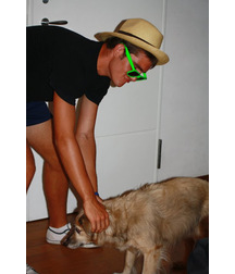 boys dogs & other animals 5ae96bcba590a.jpg