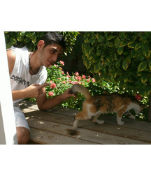 boys dogs & other animals 5ae96bcd97bfe.jpg