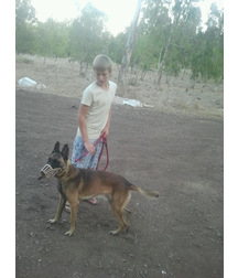 boys dogs & other animals 5ae96bd4ca15a.jpg