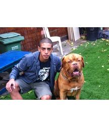 boys dogs & other animals 5ae96bda2123a.jpg