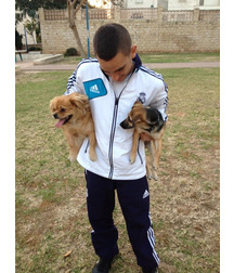 boys dogs & other animals 5ae96be53b90f.jpg