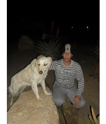 boys dogs & other animals 5ae96be878e42.jpg