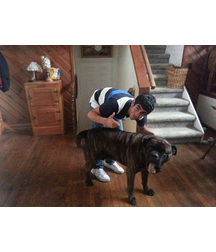 boys dogs & other animals 5ae96beaeffd6.jpg