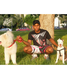 boys dogs & other animals 5ae96befd5ebc.jpg