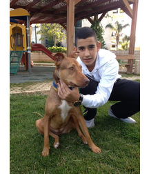boys dogs & other animals 5ae96bfbb513b.jpg