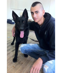 boys dogs & other animals 5ae96bfe7646f.jpg