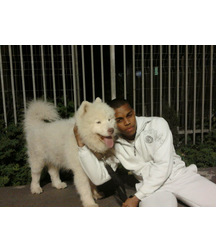 boys dogs & other animals 5ae96c01277ef.jpg