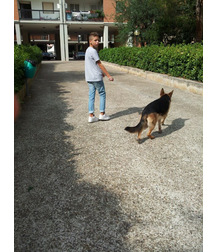 boys dogs & other animals 5ae96c04cb519.jpg