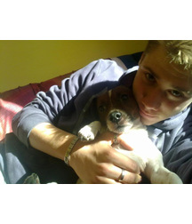boys dogs & other animals 5ae96c09ad03f.jpg