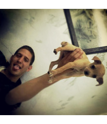 boys dogs & other animals 5ae96c0ae523d.jpg
