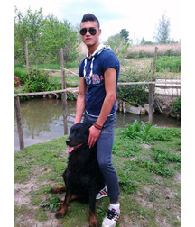 boys dogs & other animals 5ae96c0cafc7e.jpg