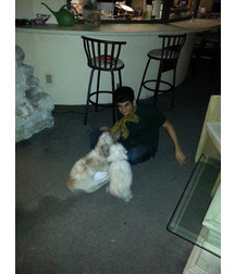 boys dogs & other animals 5ae96c0e2ecf6.jpg
