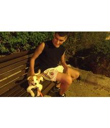 boys dogs & other animals 5ae96c0f87cd0.jpg