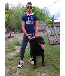 boys dogs & other animals 5ae96c115e423.jpg