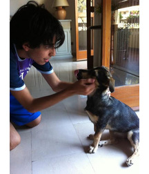 boys dogs & other animals 5ae96c13e27ec.jpg