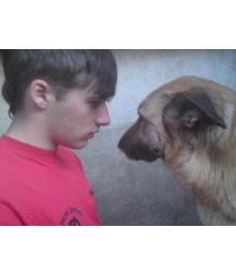 boys dogs & other animals 5ae96c14ac2bc.jpg