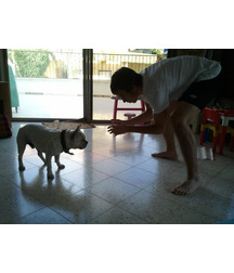 boys dogs & other animals 5ae96c1c8ebfa.jpg