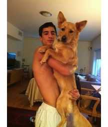 boys dogs & other animals 5ae96c1f55659.jpg