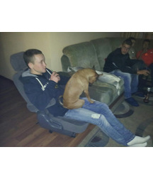 boys dogs & other animals 5ae96c209eea6.jpg