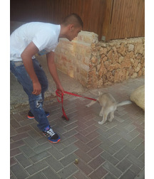 boys dogs & other animals 5ae96c2657d7c.jpg